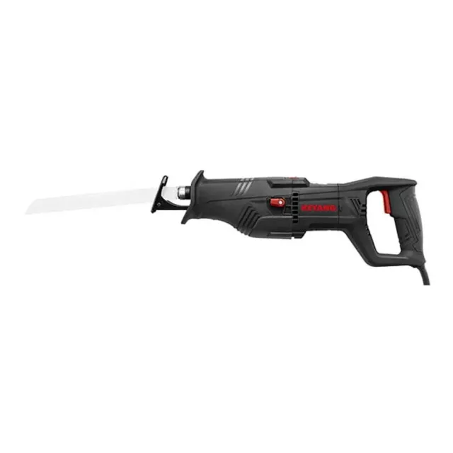 RS1300