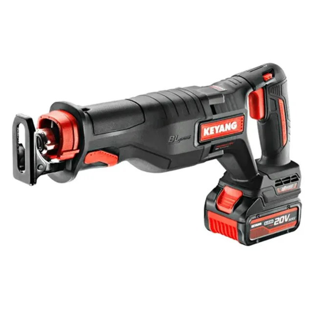 RS20BLH-30V