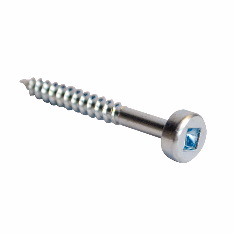 Schroeven 31,7 mm · 990.101X500
