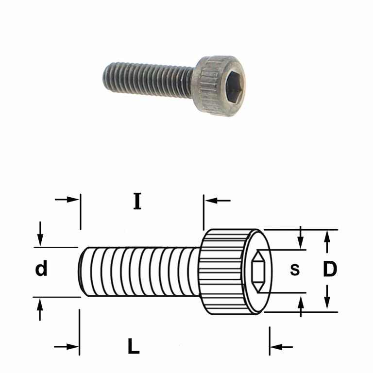 Inbusbout met ronde kop D=5,5mm