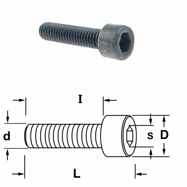 Inbusbout met ronde kop D=10mm S=5mm L=31mm I=25mm