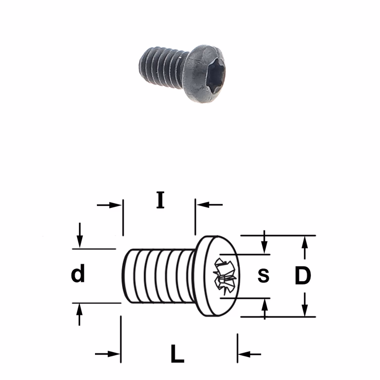 Torx bout D=6mm S=T15 L=8mm I=6mm